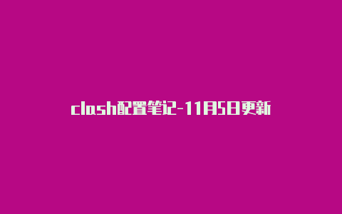 clash配置笔记-11月5日更新-Clash for Windows
