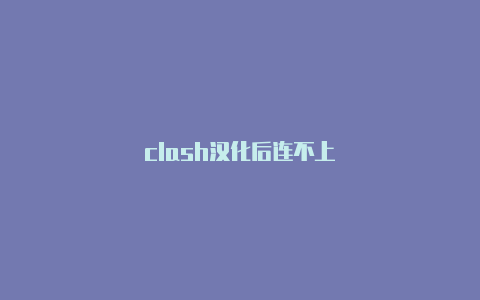 clash汉化后连不上