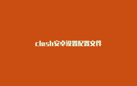 clash安卓设置配置文件