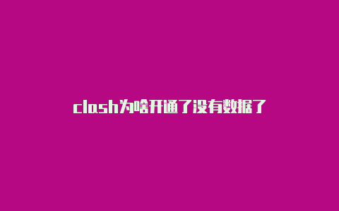 clash为啥开通了没有数据了