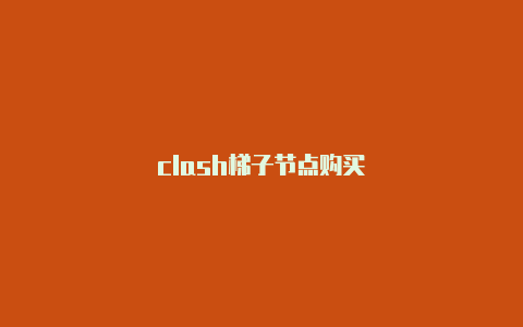 clash梯子节点购买