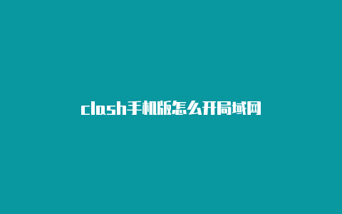 clash手机版怎么开局域网