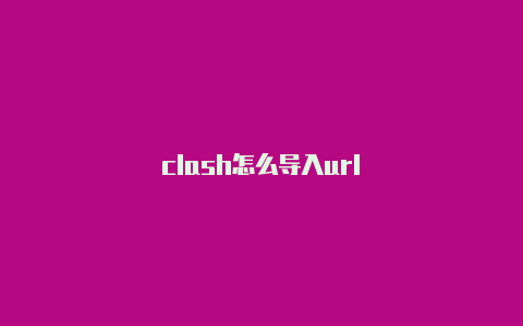 clash怎么导入url