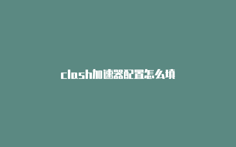 clash加速器配置怎么填