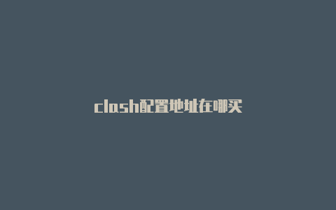 clash配置地址在哪买