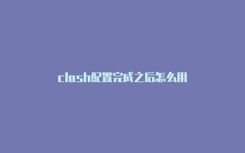 clash配置完成之后怎么用